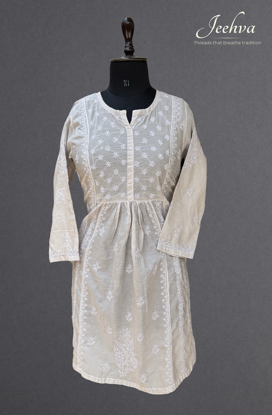Mul Chanderi Chikankari Frock Dress